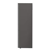 LG Kühl-Gefrierkombination | D | 384 Liter Nutzinhalt | LINEARCooling™ | FRESHConverter™ | SmartThinQ™, GBB62PZGFN