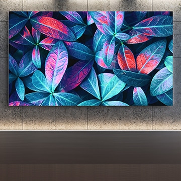 An einer grauen Wand hängender LG QNED Mini LED TV. Der Bildschirm zeigt eine Nahaufnahme von großen Pflanzenblättern in verschiedenen Grün-, Blau- und Rottönen.