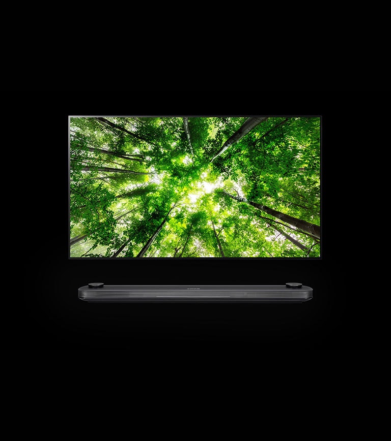 Vorderansicht von 65&#34; LG SIGNATURE OLED TV  OLED65W8PLA