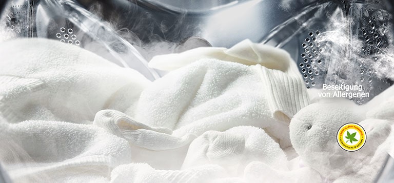 Tiefenreinigung mit Dampf dank spezieller Programme wie Allergy Care