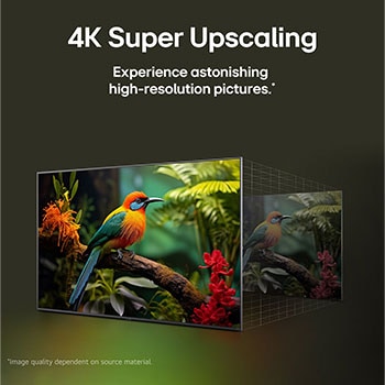 LG 65 inch LG NanoCell AI NANO80 4K Smart TV 2025, 65NANO80ASA