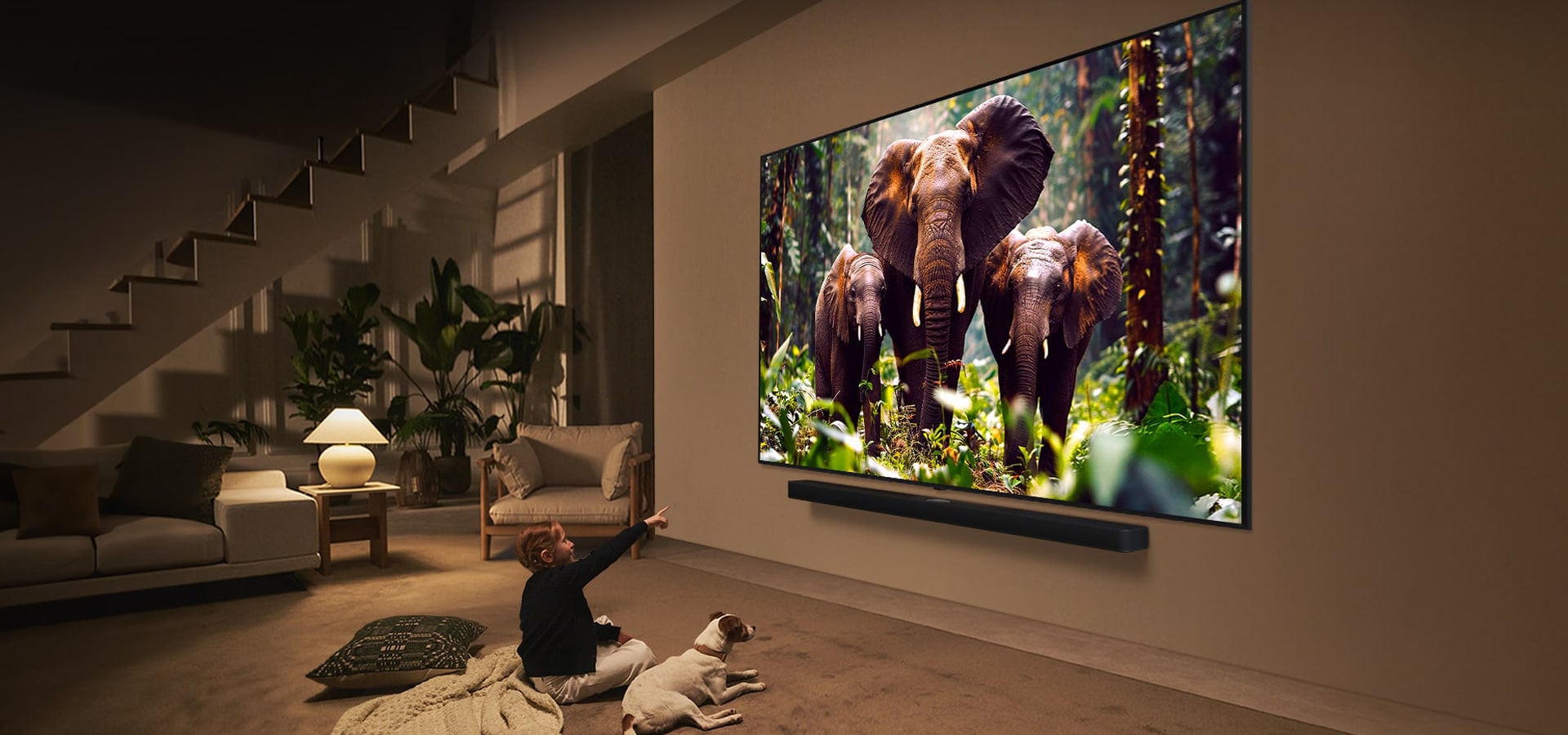 Best Budget TVs of 2026