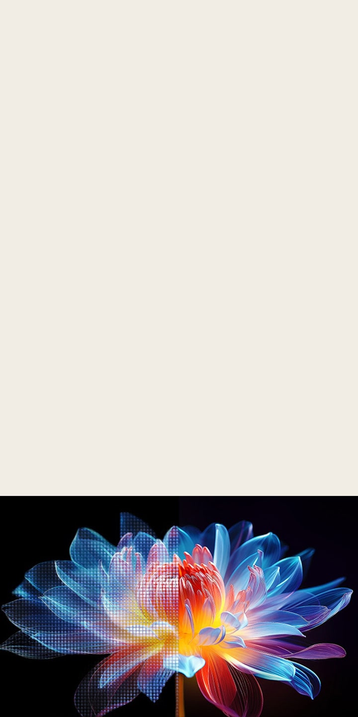 TV screen with a holographic flower on the screen. Behind it is a visual representation of LED lights, showing how LG QNED evo is able to control light with more precision resulting in a more vivid, high-contrast picture.