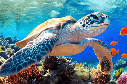 A rich spectrum of lifelike colour