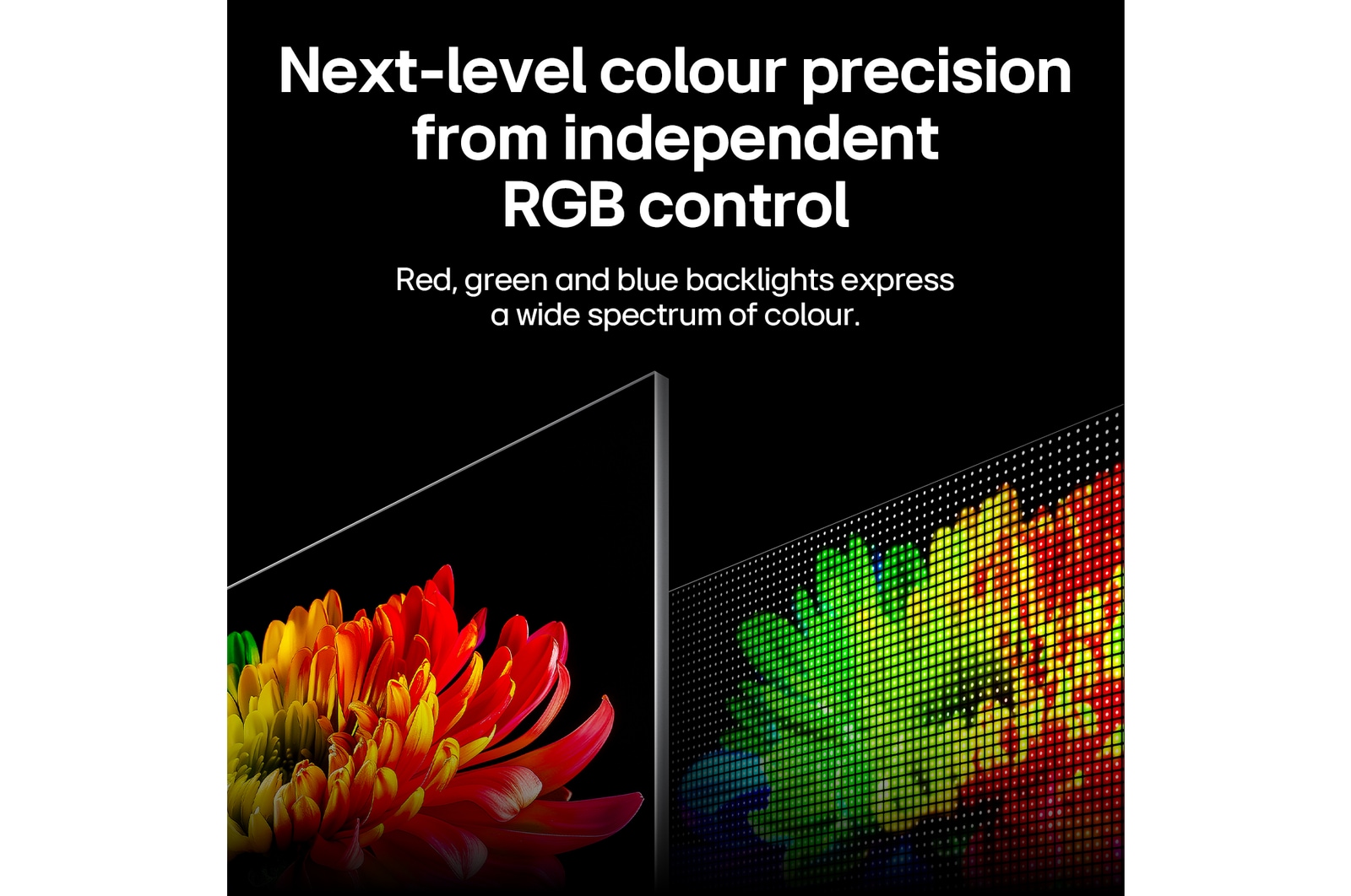 LG Micro RGB evo AI MRGB95, powered by RGB Primary Colour Ultra, shows a flower image on the screen, with precisely controlled red, green, and blue light from distinct Micro RGB engines for balanced colour and refined contrast. 