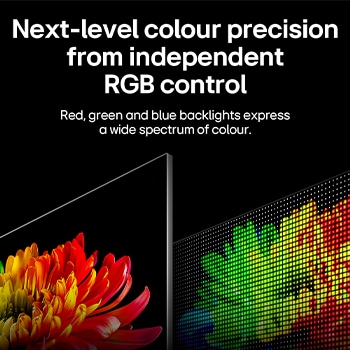 LG Micro RGB evo AI MRGB95, powered by RGB Primary Colour Ultra, shows a flower image on the screen, with precisely controlled red, green, and blue light from distinct Micro RGB engines for balanced colour and refined contrast. 