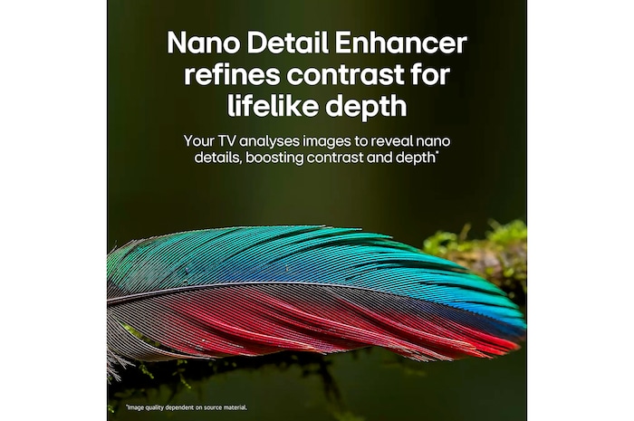 LG NANO 4K UHD AI NU85 98-inch Ultra Big TV is wall-mounted in a living space, showing a sports victory scene with confetti and a trophy, emphasizing vivid color, clear detail, and an immersive sense of scale.