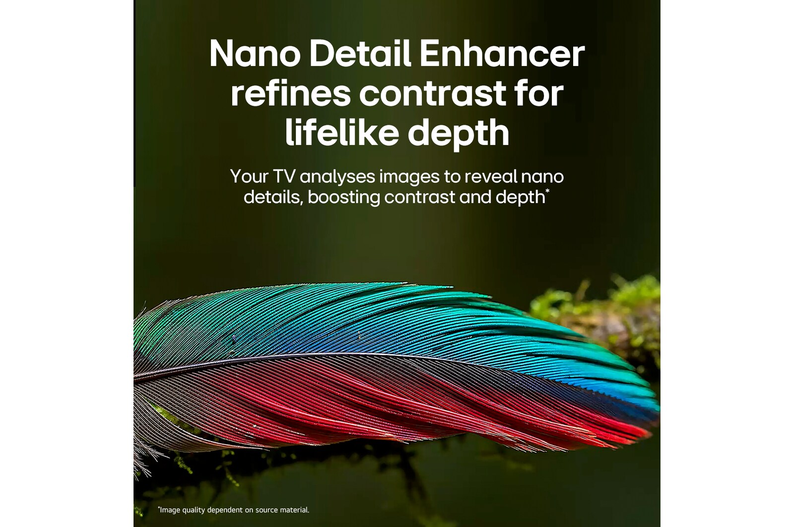LG NANO 4K UHD AI NU85 98-inch Ultra Big TV is wall-mounted in a living space, showing a sports victory scene with confetti and a trophy, emphasizing vivid color, clear detail, and an immersive sense of scale.