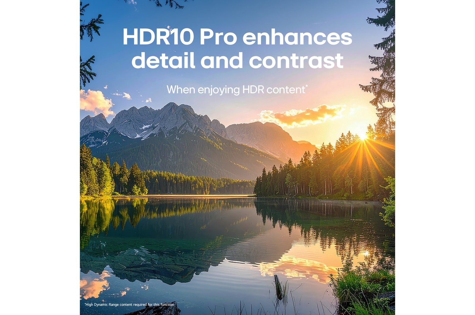 LG NANO 4K UHD AI NU85 with AI Super Upscaling and Dynamic Tone Mapping Pro shows an underwater scene of a dolphin swimming among coral and fish, as AI recognizes and upscales each frame up to 4K resolution.