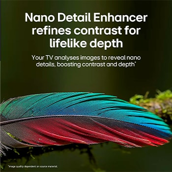 LG NANO 4K UHD AI NU85 98-inch Ultra Big TV is wall-mounted in a living space, showing a sports victory scene with confetti and a trophy, emphasizing vivid color, clear detail, and an immersive sense of scale.