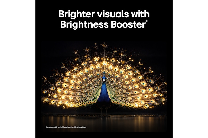 LG OLED evo AI G6 with Brightness Booster shows a dark scene where a brilliantly illuminated peacock spreads its radiant, glowing feathers, delivering brighter highlights with improved detail and striking contrast.