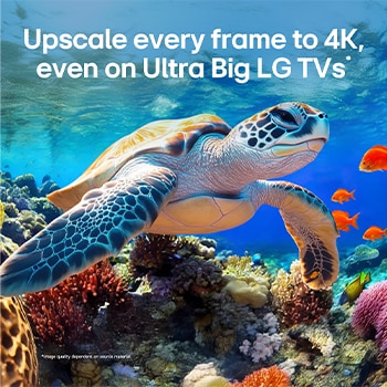 LG QNED evo AI QNED85 with AI Picture Pro and Dynamic Tone Mapping Pro shows an underwater scene of a sea turtle swimming above coral and fish, as AI recognizes and upscales each frame to 4K resolution.