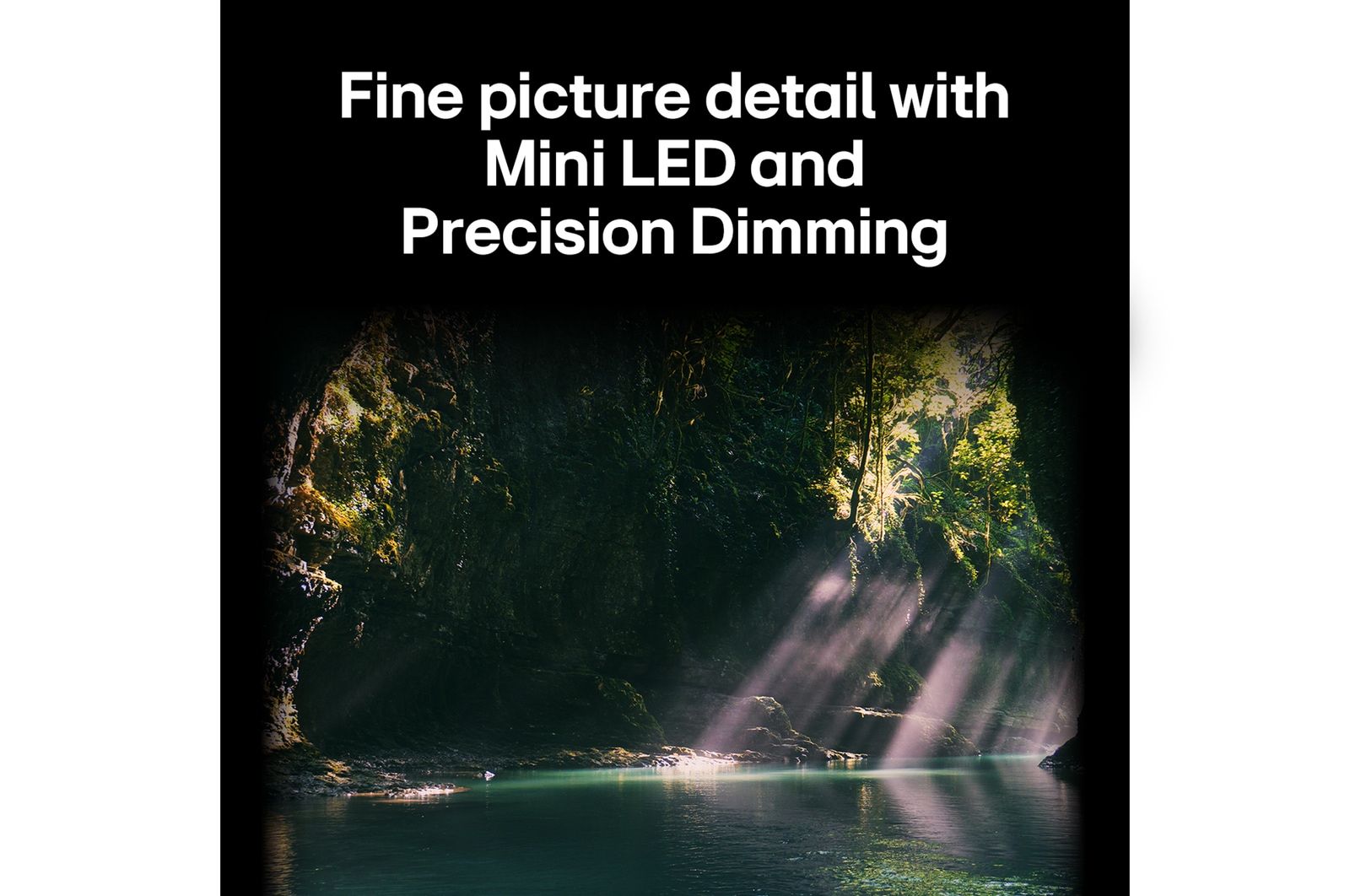 LG QNED evo AI QNED85 highlights Mini LED with Precision Dimming in a split forest scene, comparing conventional LED with deeper blacks and more refined contrast as sunlight filters through the trees for greater clarity and depth.