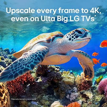 LG QNED evo AI QNED85 with AI Picture Pro and Dynamic Tone Mapping Pro shows an underwater scene of a sea turtle swimming above coral and fish, as AI recognizes and upscales each frame to 4K resolution.