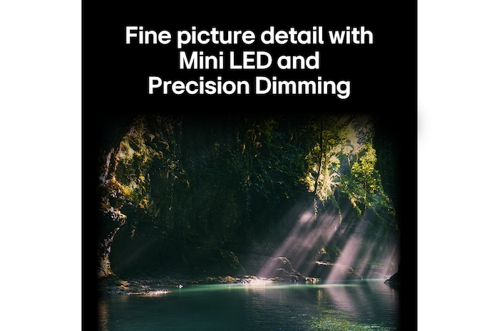 LG QNED evo AI QNED85 highlights Mini LED with Precision Dimming in a split forest scene, comparing conventional LED with deeper blacks and more refined contrast as sunlight filters through the trees for greater clarity and depth.