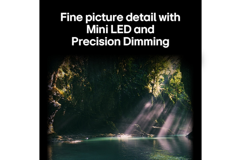 LG QNED evo AI QNED85 highlights Mini LED with Precision Dimming in a split forest scene, comparing conventional LED with deeper blacks and more refined contrast as sunlight filters through the trees for greater clarity and depth.