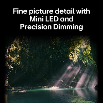 LG QNED evo AI QNED85 highlights Mini LED with Precision Dimming in a split forest scene, comparing conventional LED with deeper blacks and more refined contrast as sunlight filters through the trees for greater clarity and depth.