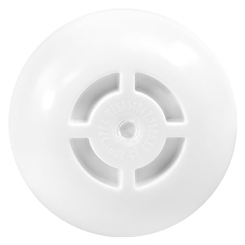 bottom view