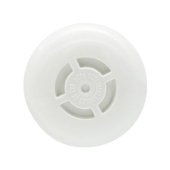 bottom view