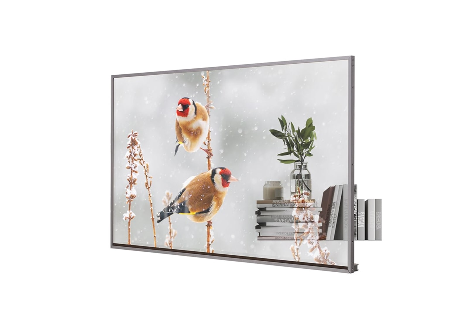 LG Transparent OLED, -45 degree side view with infill image, 55EW5P-M