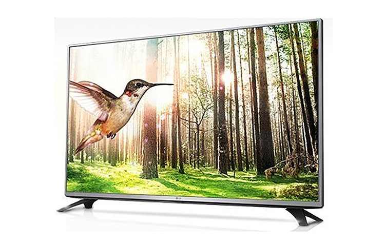 Front view of 43” LED Backlit Panel 43LX310C
