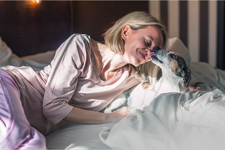 Pet Care Wash Cycle