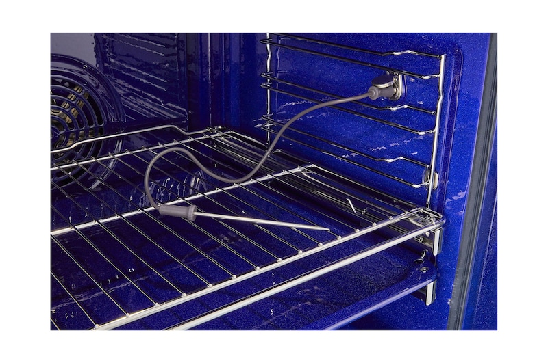 Full Steam_MeatProbe