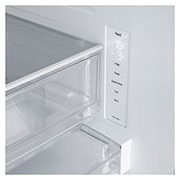 detailed view of the freezer interior
