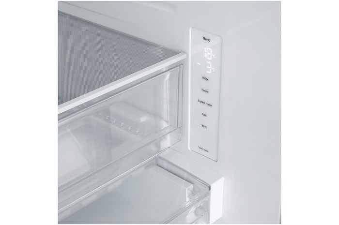 detailed view of the freezer interior