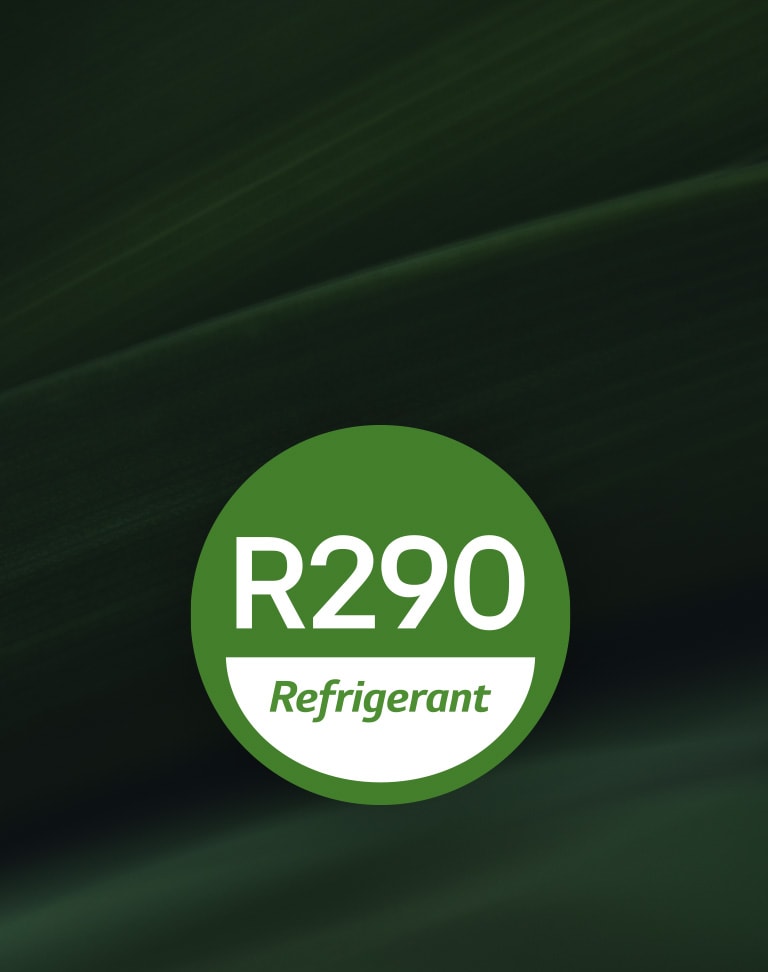 R290 icon with dark green background
