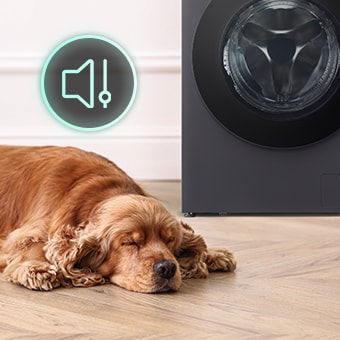 There's a dog lying down, an volume icon and a washing machine