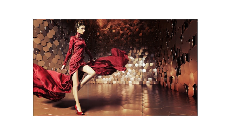 LG Video-wall OLED Signage, 65EV5C