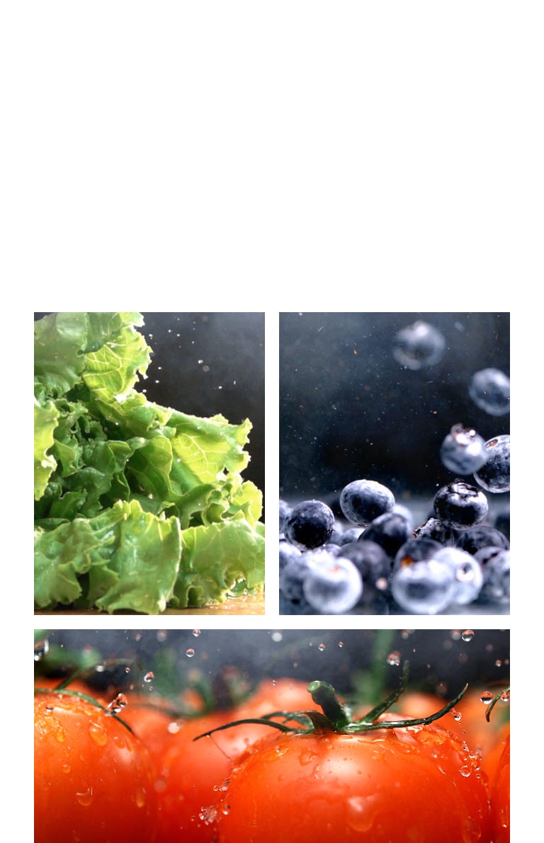 Keep food fresher for longer