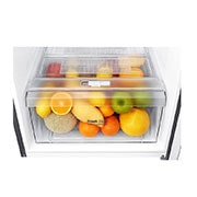 LG 254L Top Mount Fridge in Dark Graphite Finish, GT-279BPL