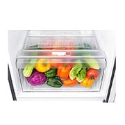LG 254L Top Mount Fridge in Dark Graphite Finish, GT-279BPL