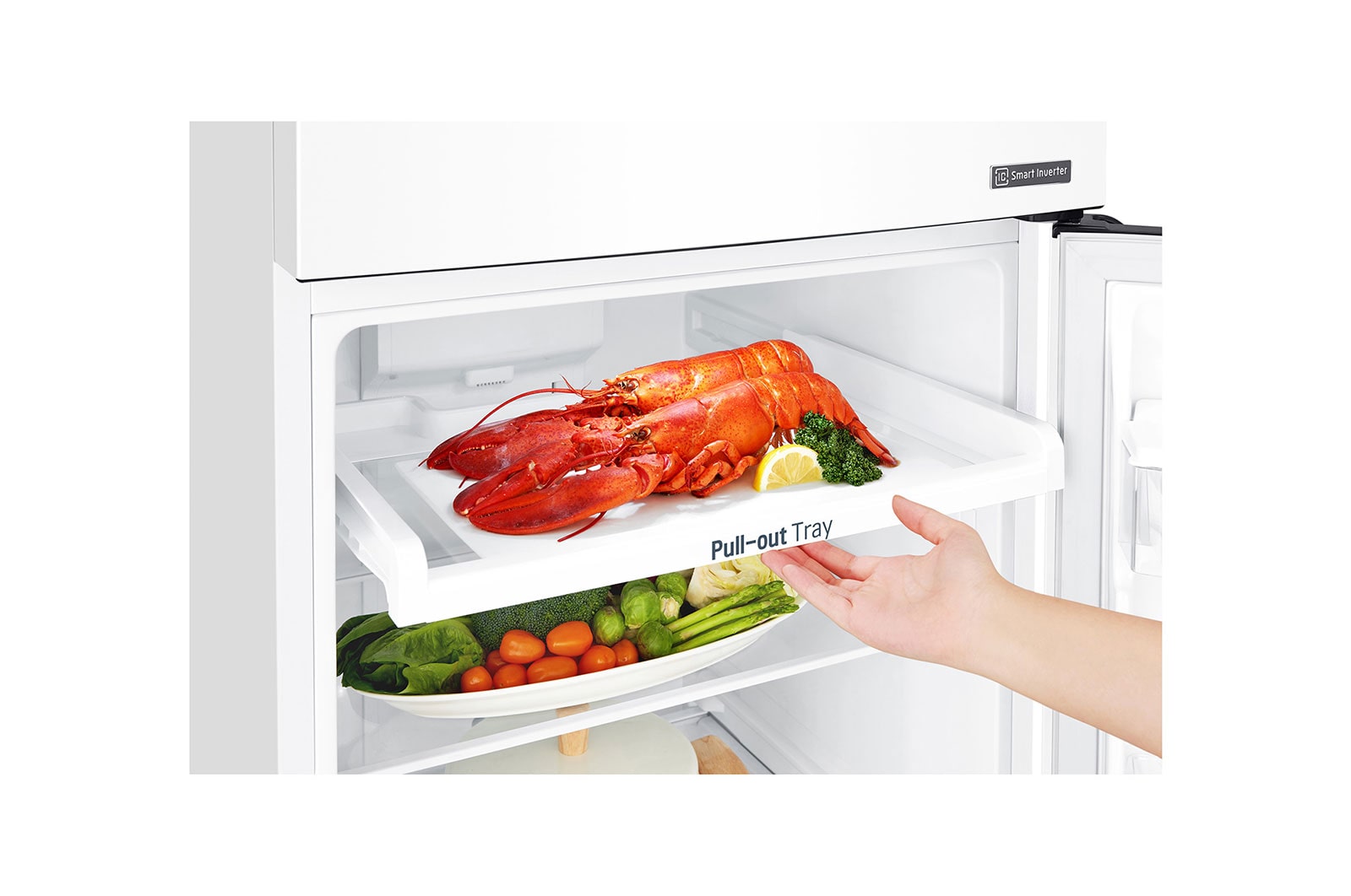 LG  254L Top Mount Fridge in White Finish, GT-279BWL