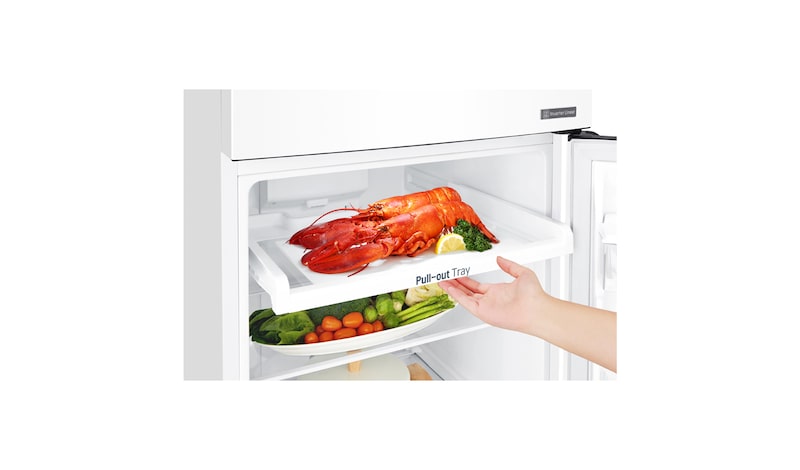 LG 279L Top Mount Fridge with Door Cooling+™, GT-279WDC
