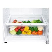 LG 478L Top Mount Fridge - White Finish, GT-515WDC