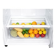 LG 478L Top Mount Fridge - White Finish, GT-515WDC