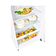 LG 478L Top Mount Fridge - White Finish, GT-515WDC