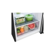 LG 375L Top Mount Fridge - Stainless Finish, GT-5MB