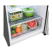LG 375L Top Mount Fridge - Stainless Finish, GT-5S