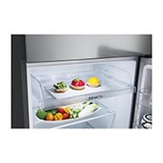 LG 375L Top Mount Fridge - Stainless Finish, GT-5S