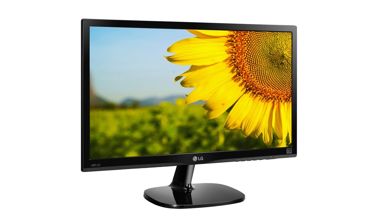 LG 22" Full HD IPS Monitor, 22MP48HQ