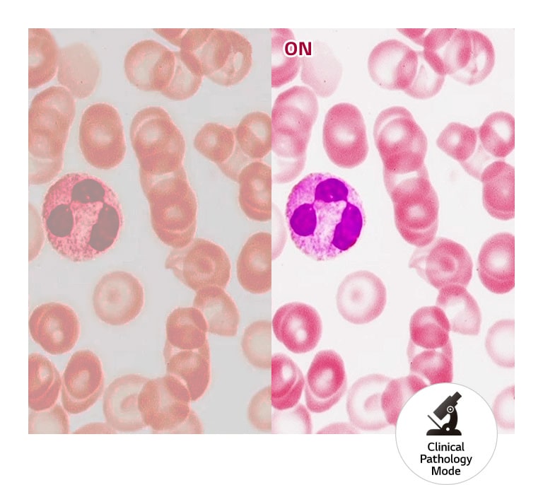 Realistic Colour Reproduction1