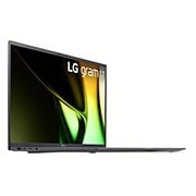 LG gram 17 Inch Lightweight Laptop | 16GB RAM, Intel® Core™ Ultra 5,  Windows 11 Pro, Anti-glare IPS display, 17Z90S-G.AP55A