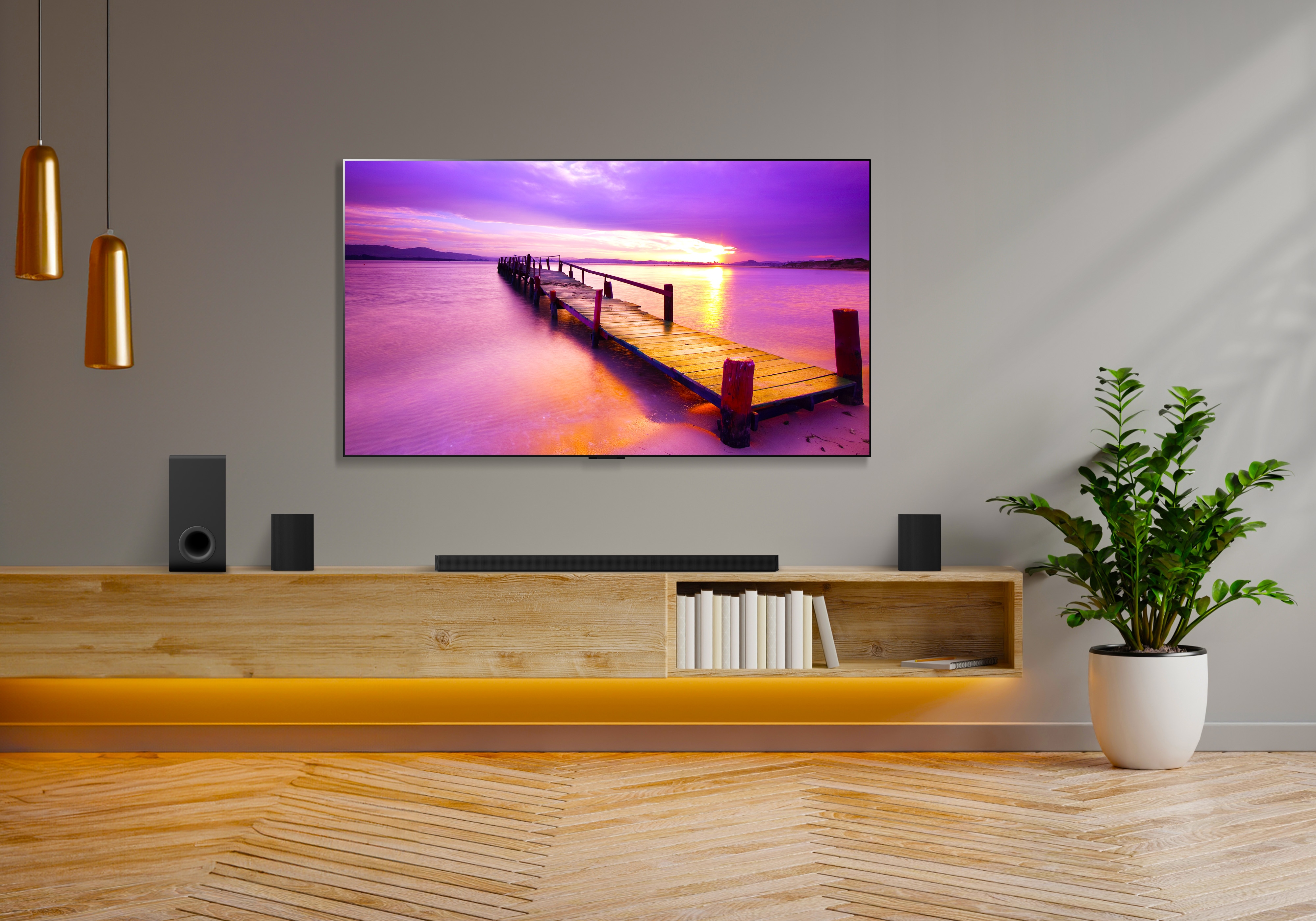 The television experience