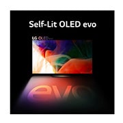 LG 55 Inch LG OLED evo LX1T Posé 4K Smart TV, 55LX1TPSA