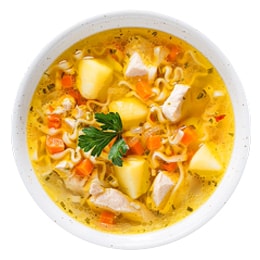 Chicken and Vegetable Noodle Soup