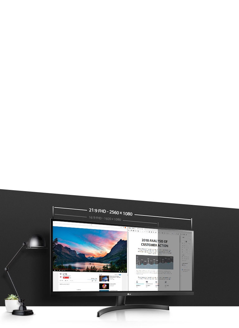 LG ウルトラワイドモニター 29WL500 LG 29WL500-B: 29